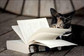 Music, Arts & Literature