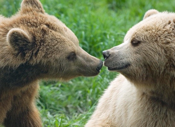 carebearblah: Happy Friday!!!!! What will the weekend have in store? Sleep. 