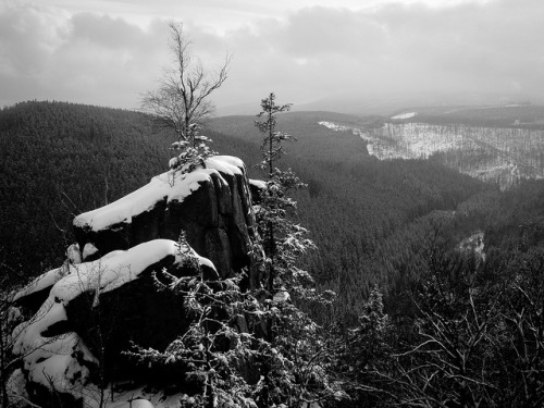 Rabenklippe by Далеко on Flickr.Rocks capped with white snowwithered trees grasp for a holdair a lit