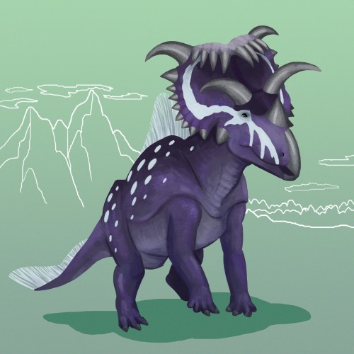 5/19/22 Kosmoceratops