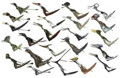 paleoillustration:Illustrations from ”Pterosaurs”, a book by Mark P. Witton&nb