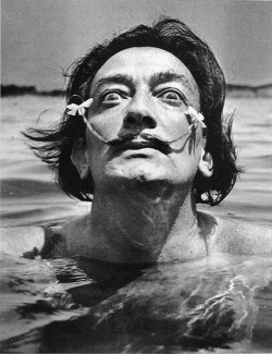 cruello:  Dali’s Mustache  by Philippe Halsman 