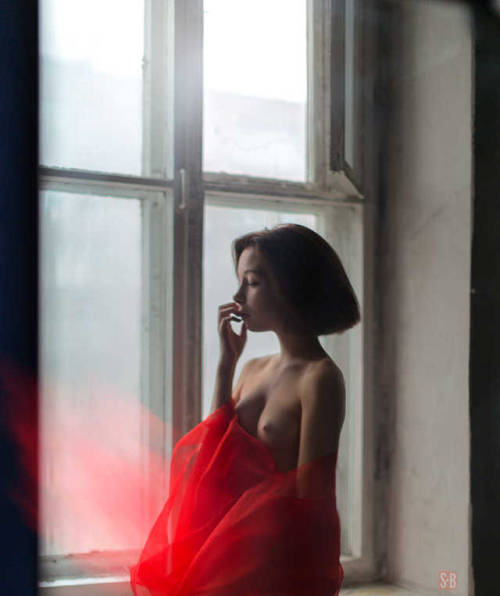 shorthair-babes: Red tulle