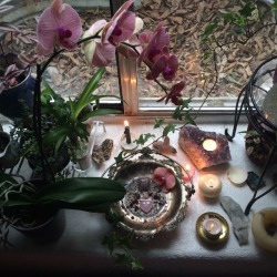 celestinewiitch:The prettiest altar I’ve made in a long time💫