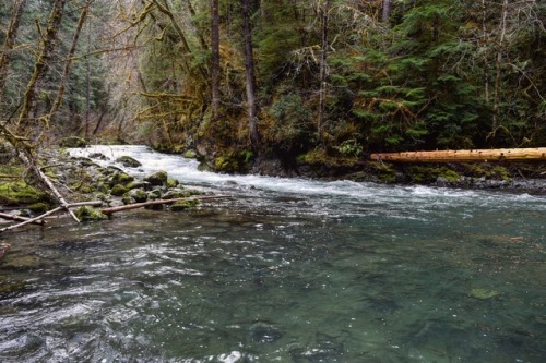 adventuresofaura:Big Quilcene River / Fallsview Canyon, WA© Aura Rose • Please retain