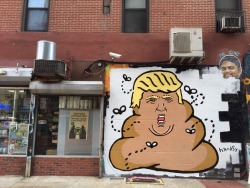 now-youre-cool:  tomhanksy:  Trump is a piece of shit fyi. NYC, NY.  I like Hanksy