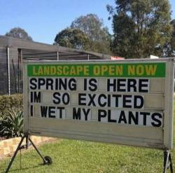 laughhard:  OMG So excited for spring!!