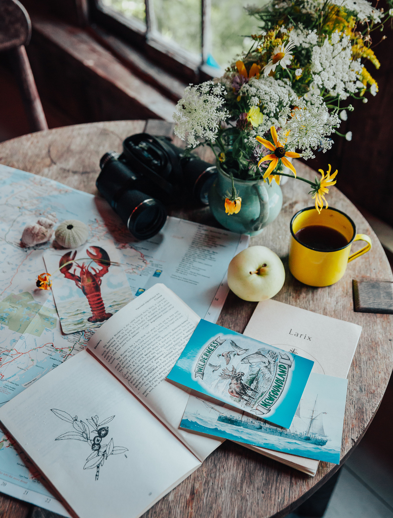 theghostgirls:treasures from newfoundland 