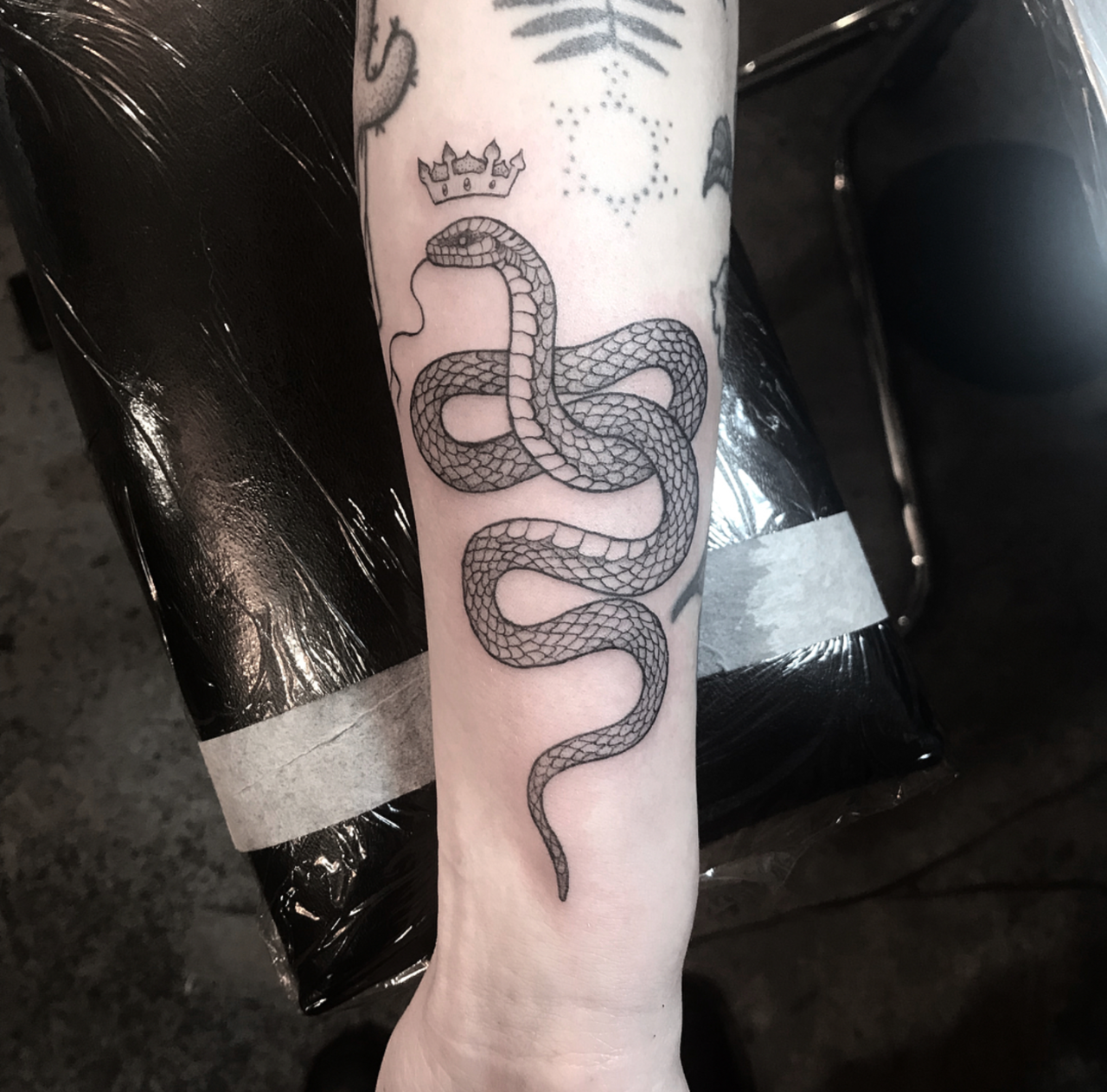 Snake Tattoo Designs  Meanings 2023 Guide  Tattoo Stylist