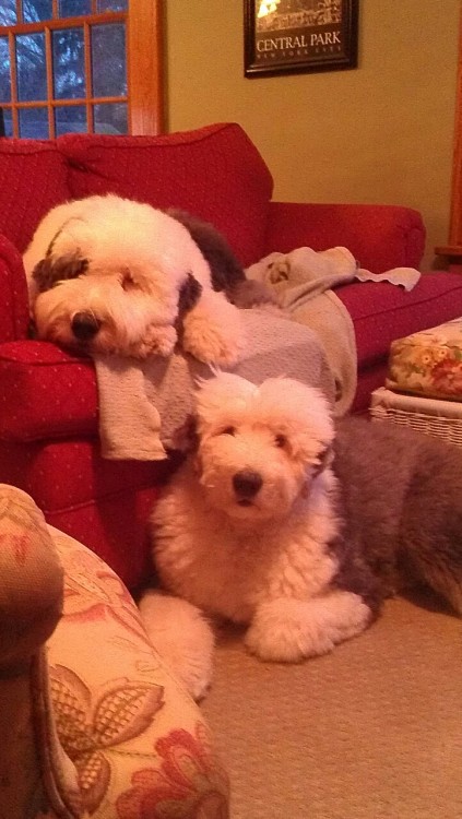 It&rsquo;s Barnaby and Louise!