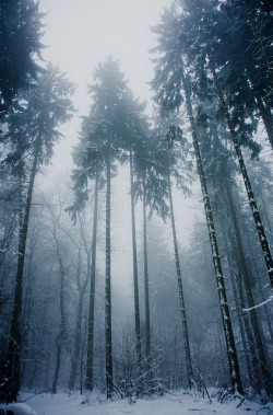 brutalgeneration:  20101221_1551—DSLR-A850_28 mm_08788 by J e n s on Flickr. 