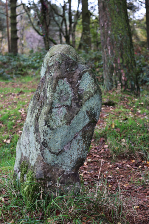 Doll Tor Stone Circle in Autumn, Derbyshire, 26.10.17. Returned today and it seemed very Autumnal; l