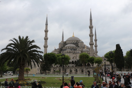 blue mosque