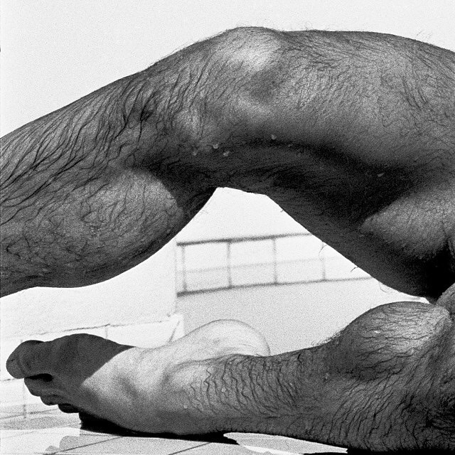 eugeniker:  Legs