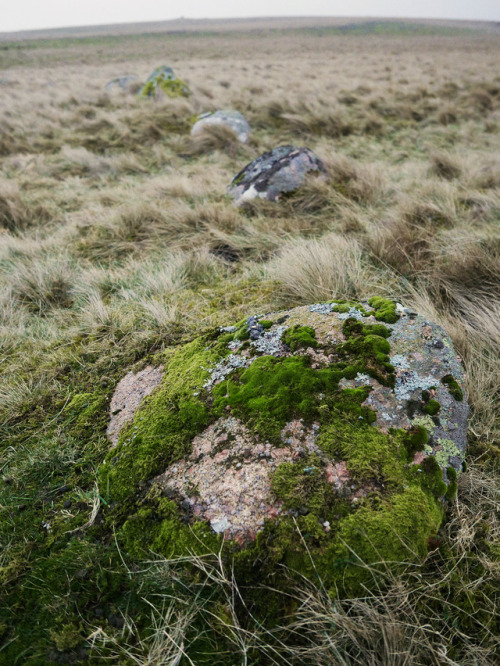 Oddendale Stone Circle, near Shap, Lake District, 14.1.17.I’ve visited this recumbent double s