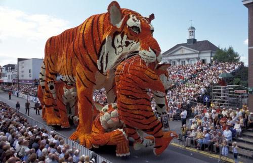 Bloemencorso Zundert is the largest flower parade in the world entirely made by volunteers. The para