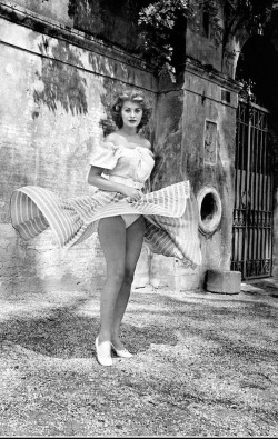 ffhum:Sophia Loren. Source   retrogirly