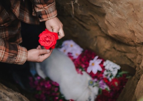 cloudyskiesandcatharsis:  Photographers’ Tearful Goodbye to Their Deceased Dog As wedding photographers by trade, most of the time, Helena and Laurent spend their days documenting the happiest moments in peoples’ lives. Recently, however, they shared