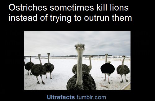ultrafacts:  More facts on Ultrafacts’ blog!