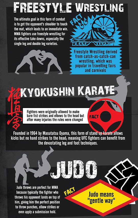 omgbesttaichiswords:  Ten Fixed Martial Arts http://www.icnbuys.com/tai-chi-swords