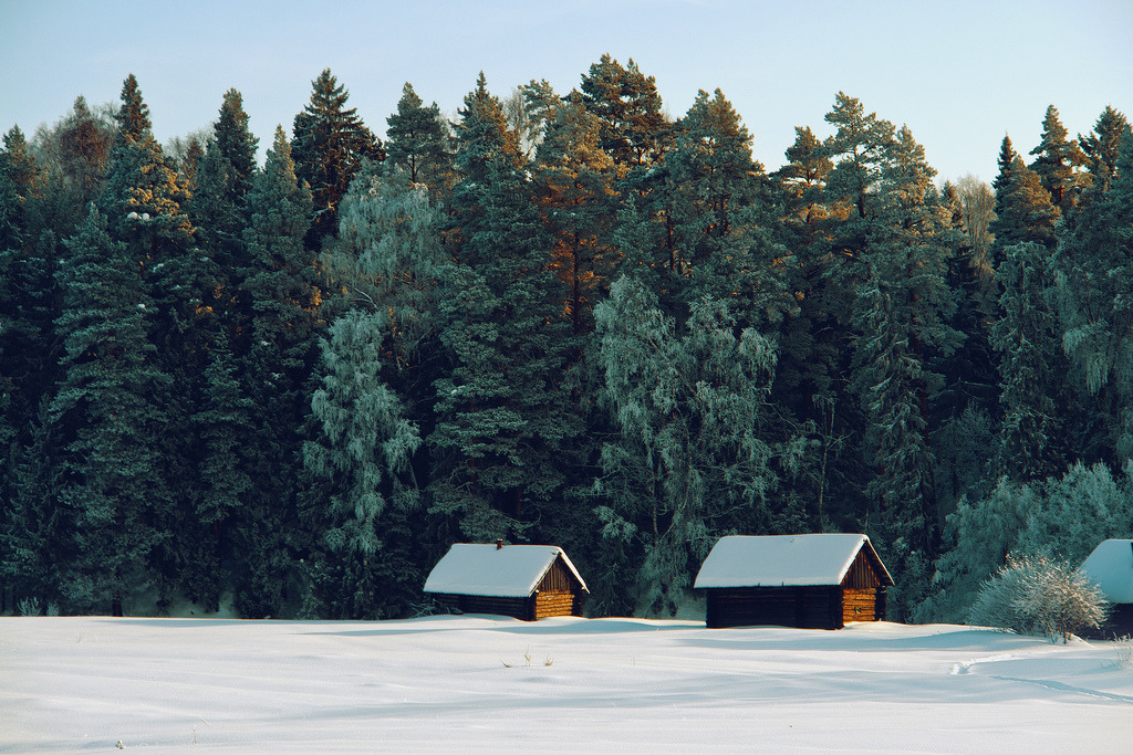 brutalgeneration:  (by dSavin) 