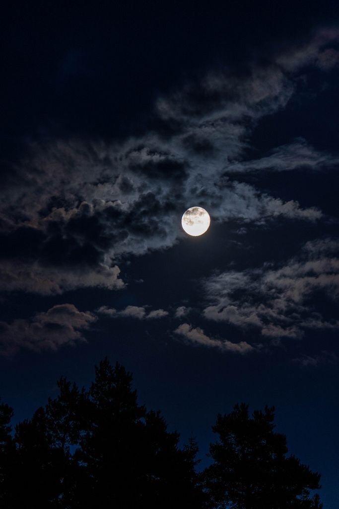 avonsarmy: Wow talk about moonshine