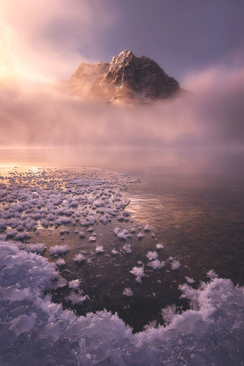 lsleofskye:Frosted Footprint