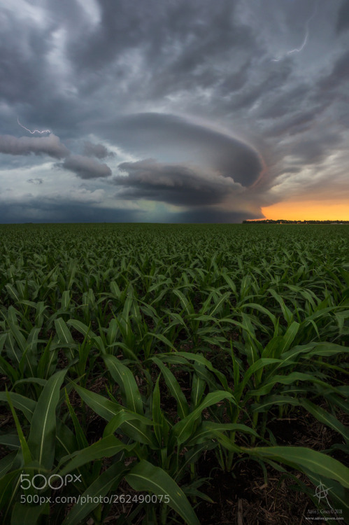 UFO by AaronGroen