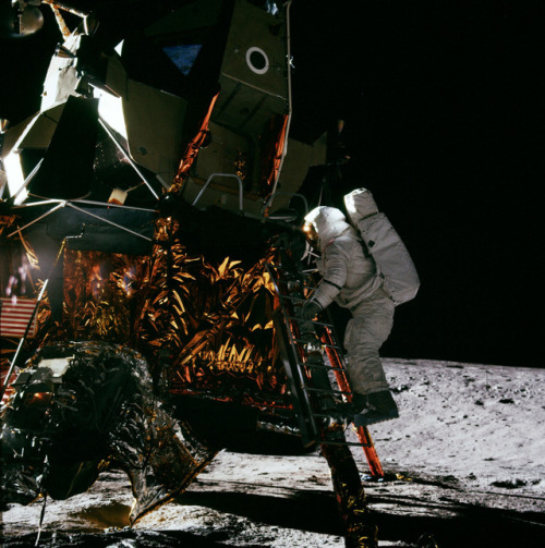 humanoidhistory: November 19, 1969 – Apollo 12 astronaut Alan Bean climbs down from the lunar 