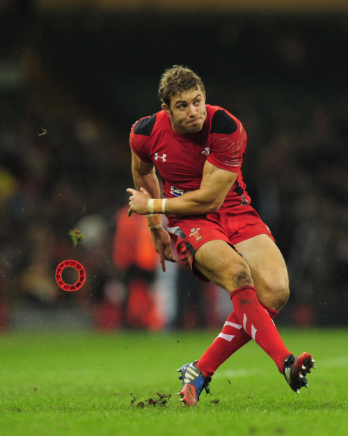 roscoe66: Leigh Halfpenny of Wales Giving his all for the Coach, the Team and himself.