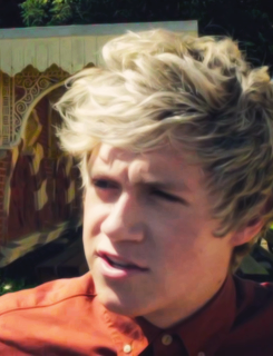          because niall looks really good in that shirt                  