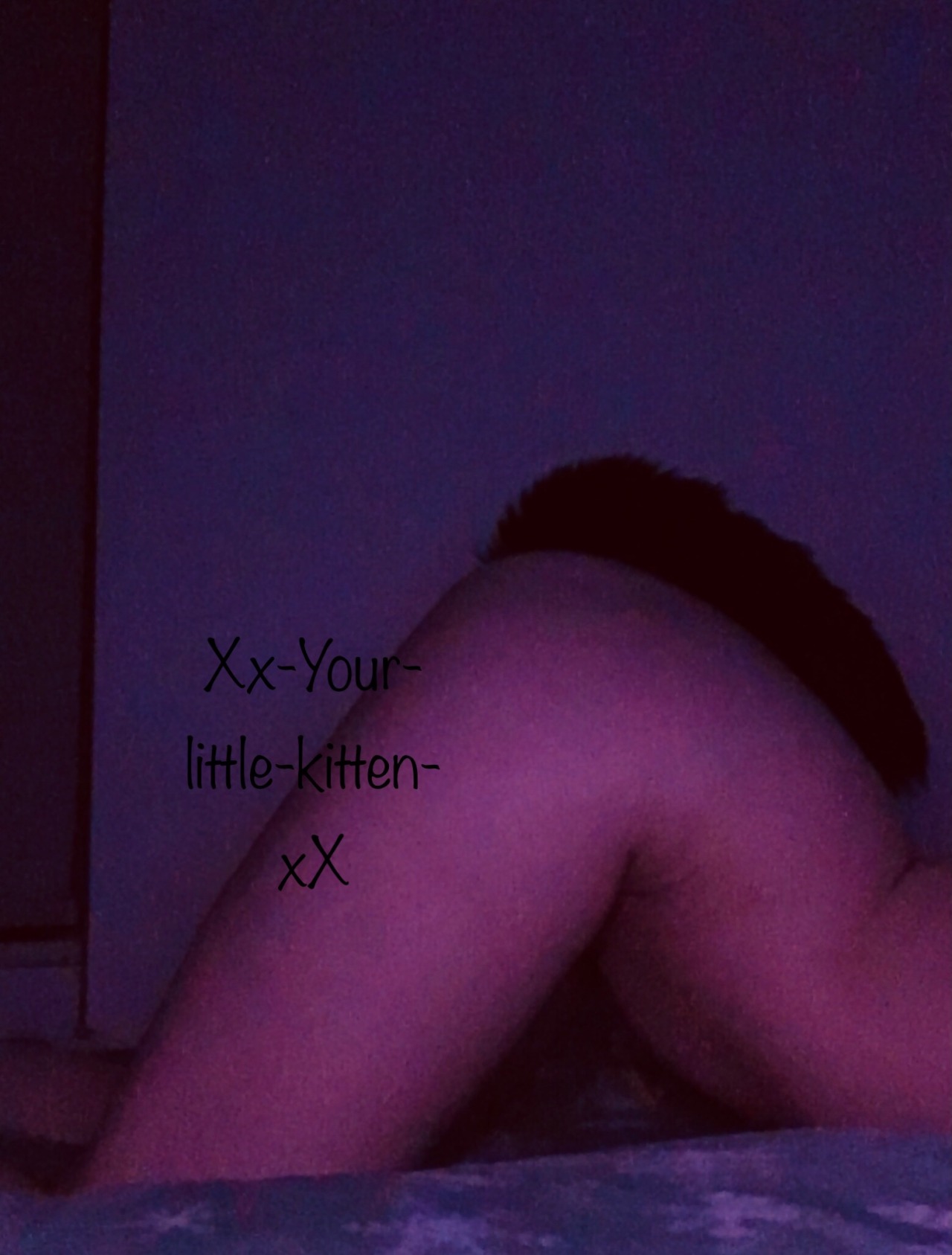 Kitten_Xx