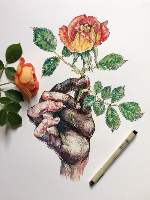 ahududuluvodka: ┼