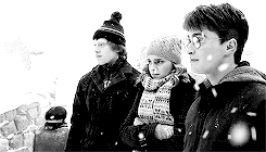 harrypotterdailly:  Why is it when something happens it is always you three? 