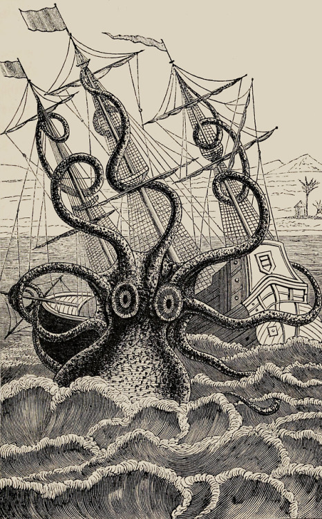 clawmarks:The octopus; or, The “Devil-fish” of fiction and of fact - Henry Lee - 1875 - via Internet