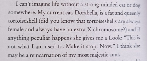 shebsart:Im sick with flu so naturally I picked up my newly bought copy of Howl’s Moving Castle which includes DWJ interviews in the back.And im in love with the way she tells these stories feels like a part of her books.And my favorite:The magic