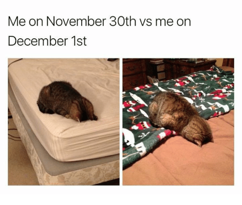 meowingtonsco:IT IS TIME