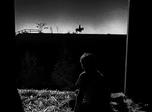 cantfightfatetoo: It’s a hard world for little things. THE NIGHT OF THE HUNTER 1955 dir. Charles Lau