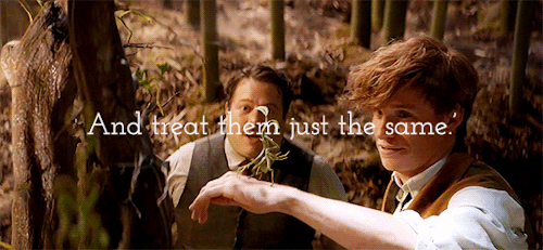 inessencedevided:Happy Hufflepuff pride day - Favourite Hufflepuff: Newt Scamander