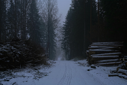 swedishlandscapes:Spring in southern Sweden.