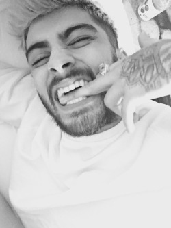 kingzayndaily:  @zaynmalik: