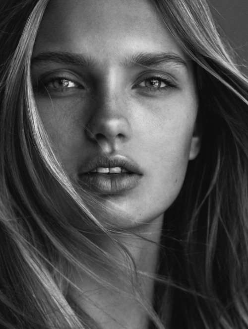 danylevy:  Bryan Whitely