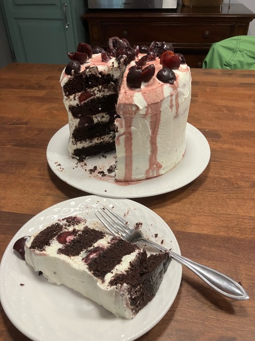 Cake Pic! Because Im Proud Of That Slice.