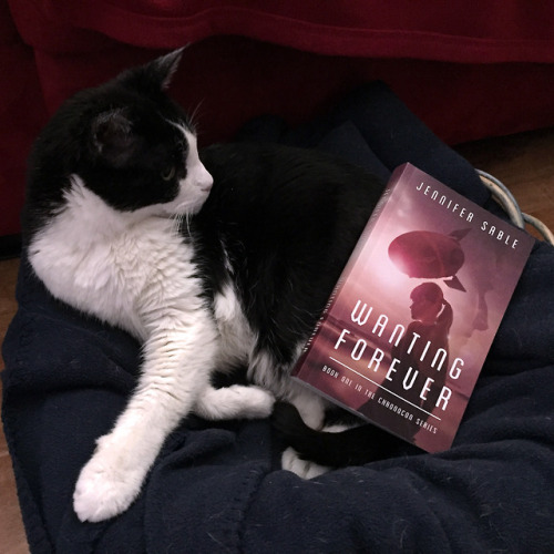 Inkblot agreed to be a spokes-meowdel for my first book, Wanting Forever.