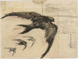 isis0isis:  Van Goch - Sketch - “FourSwifts”