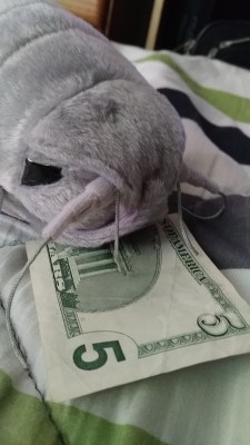 xaath:say hello to sam the money isopod.