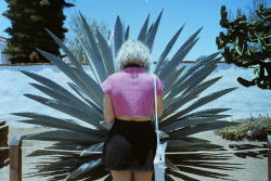 bambooearring:  pink-nopal:  sophie-zlotnicki:  Alex, Cactus - Mission San Luis Rey, 2014  dang bambooearring look she got aesthetics   sophie and alex have hella aesthetics *cries* 