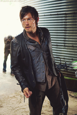 weekendswithnewtmas:  The Walking Dead challenge: Day one : Favorite male character - Daryl Dixon. 