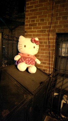 sadstuffonthestreet:  Alley cat. Found by Elizabeth Woyke in Manhattan  Alley cat alright