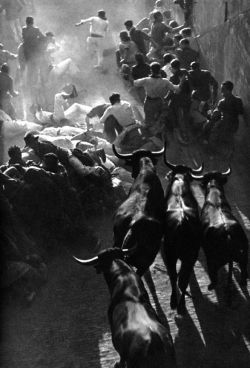 proteus7:   The festival of San Fermín (Pamplona, Navarre, Spain, 1954.) Photo by Inge Morath   RUN AWAY!